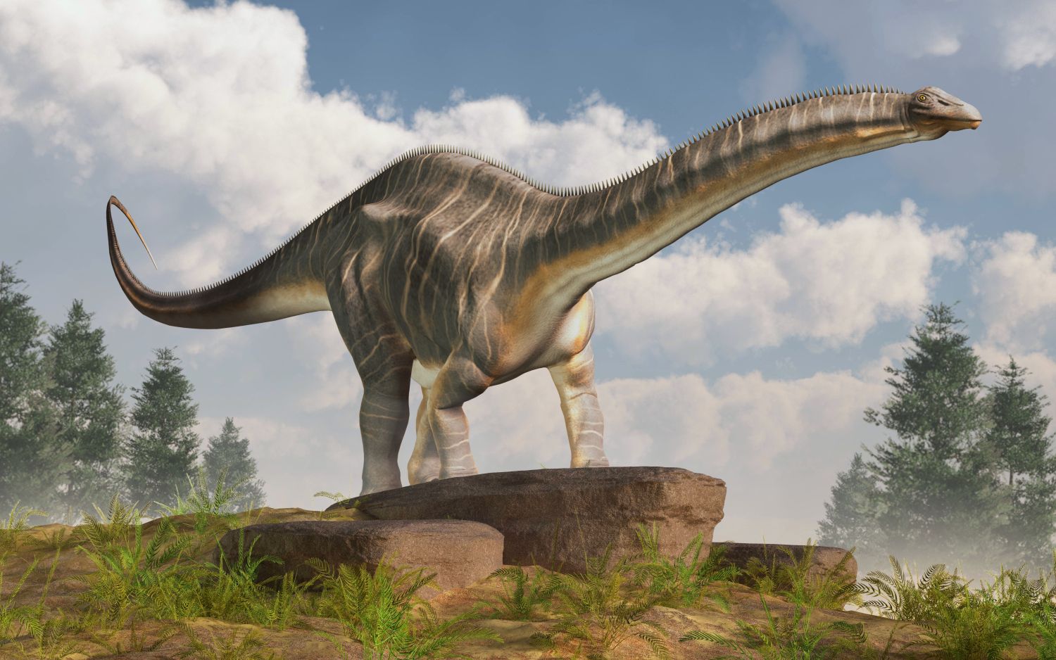 Apatosaurus-dinosaurus